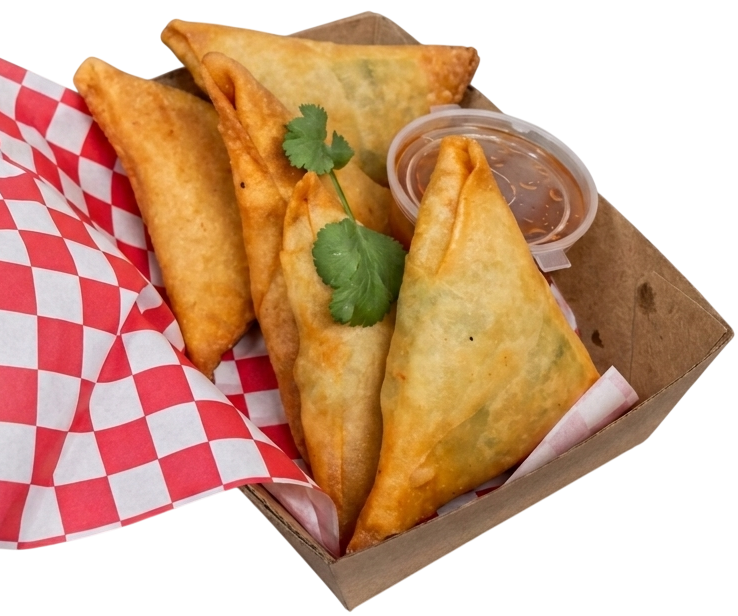 4 Large Handmade Samoosas (FX)